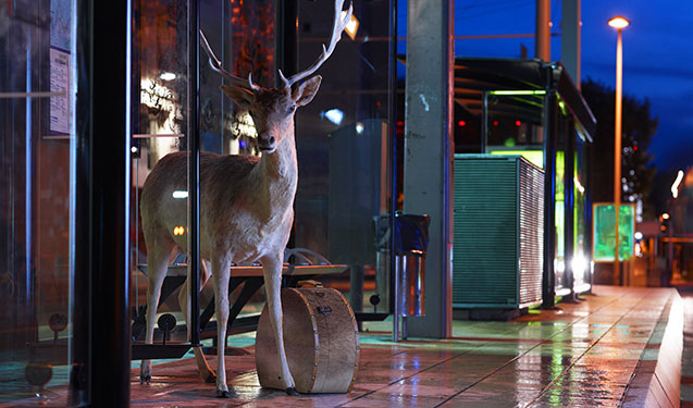 scène de rencontre romanesque