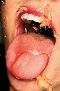Robin-Elkoubi-BOUCHE2