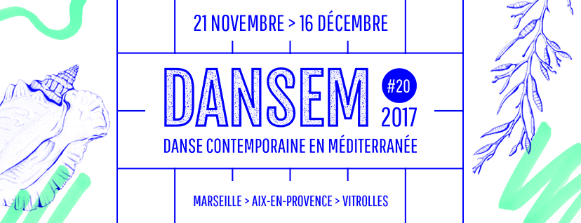 1visuel Dansem 2017