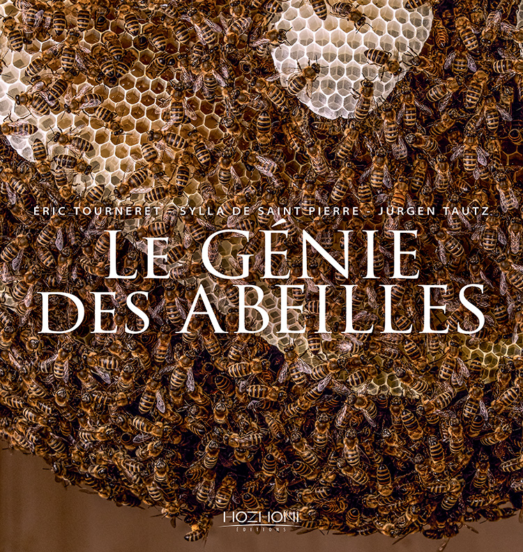 Abeilles1