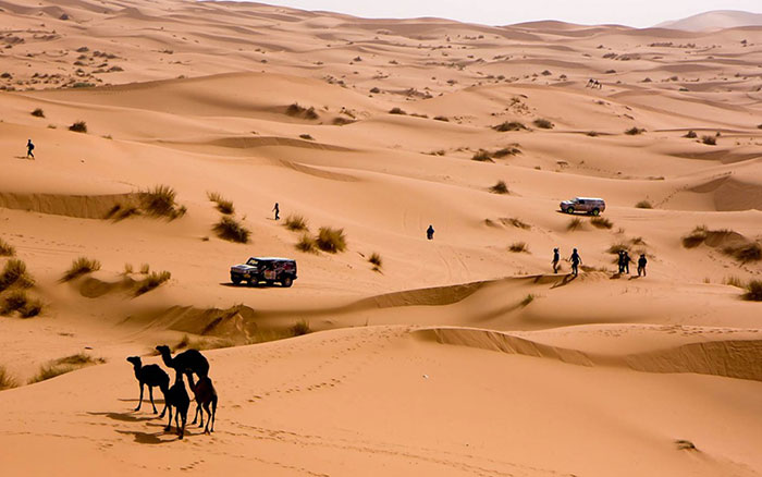 rallye-aicha-des-gazelles-desert