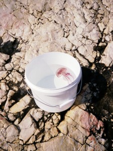 EXPO MARSEILLE COPENHAGUE :: CILLER4