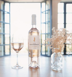 chateau-Fontainebleau